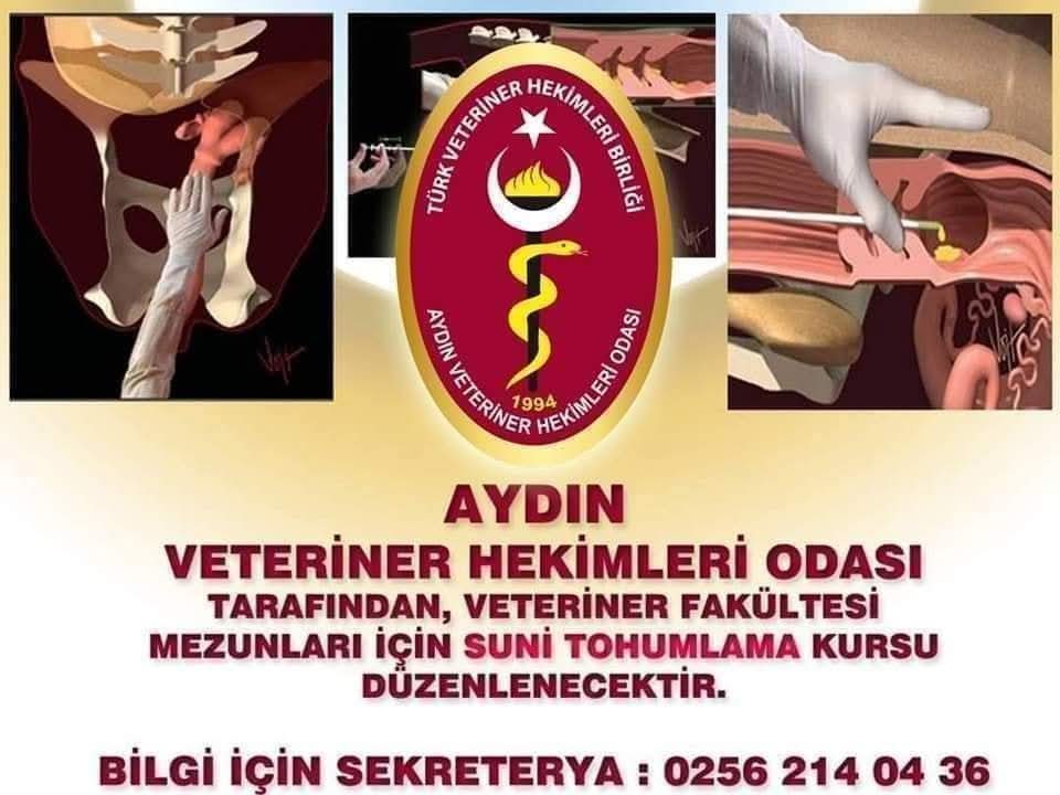 SUNİ TOHUMLAMA KURSU