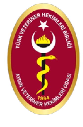 ÜÇ KATLI MESLEKİ HAK KAYBI